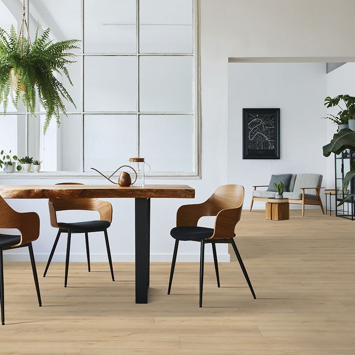 Beaulieu Canada Residential Laminate Barbarossa Xtra 1734