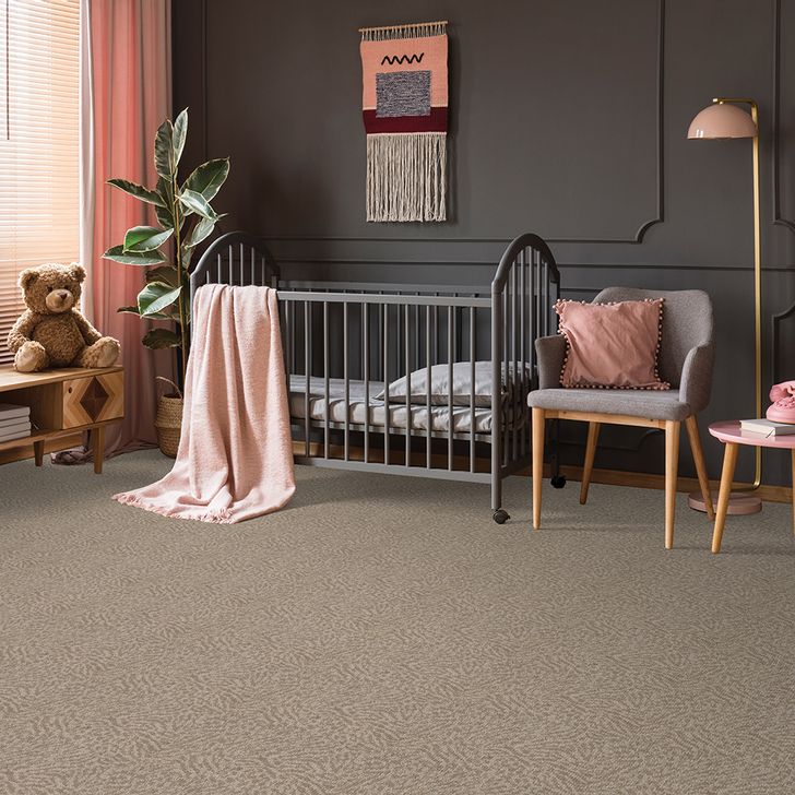 Beaulieu Canada Residential Carpet Souvenir From Brazil a1742