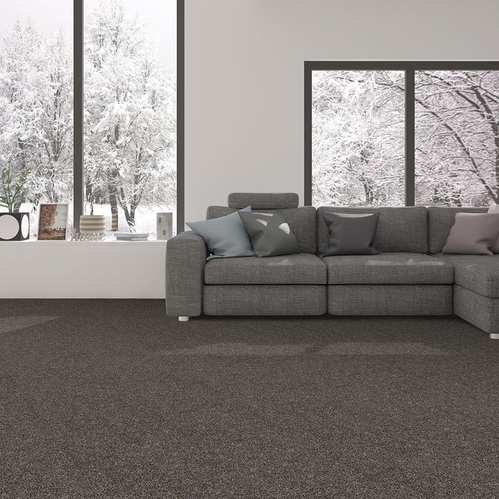 Beaulieu Canada Residential Carpet Peak Point a4825