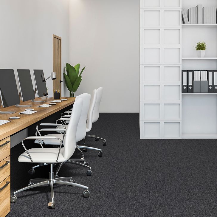 Beaulieu Canada Residential Carpet Invasion V 18 j7033