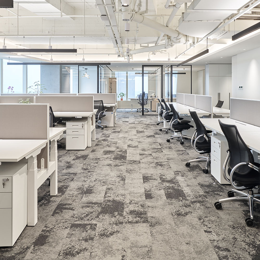 Beaulieu Canada Pro Carpet Base tbas