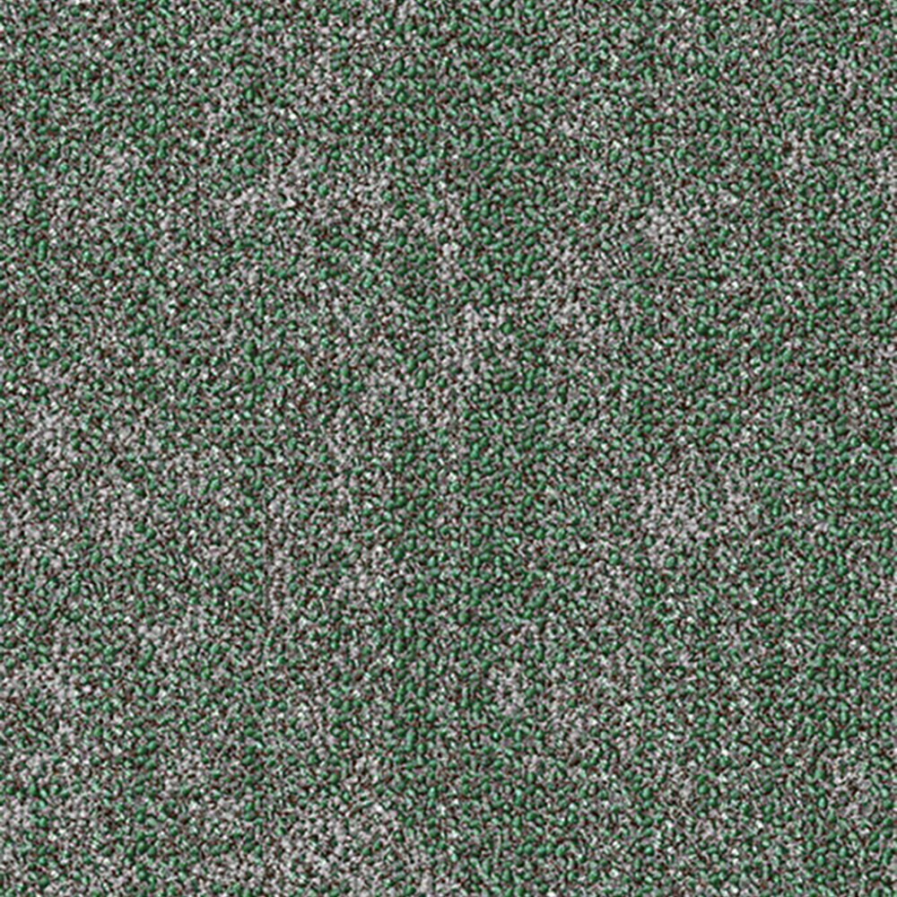 Beaulieu Canada Pro Carpet Color Sense tcol