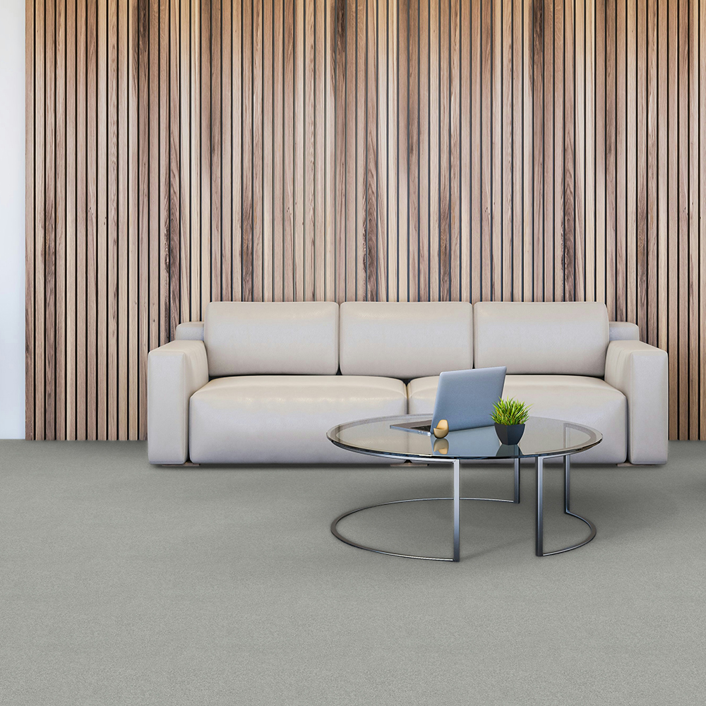 Beaulieu Canada Pro Carpet Mere Color tmec