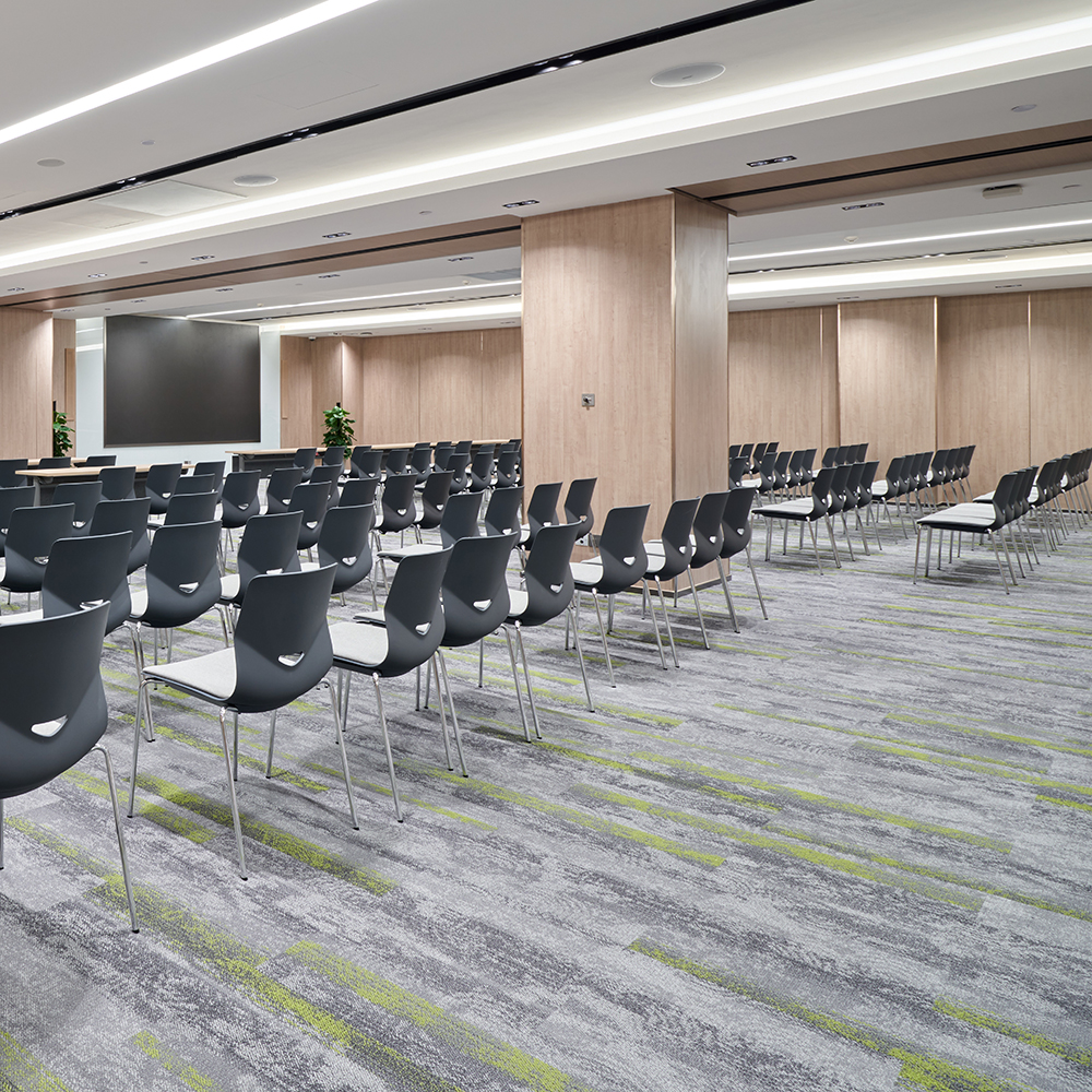 Beaulieu Canada Pro Carpet Spiral Plus tspp