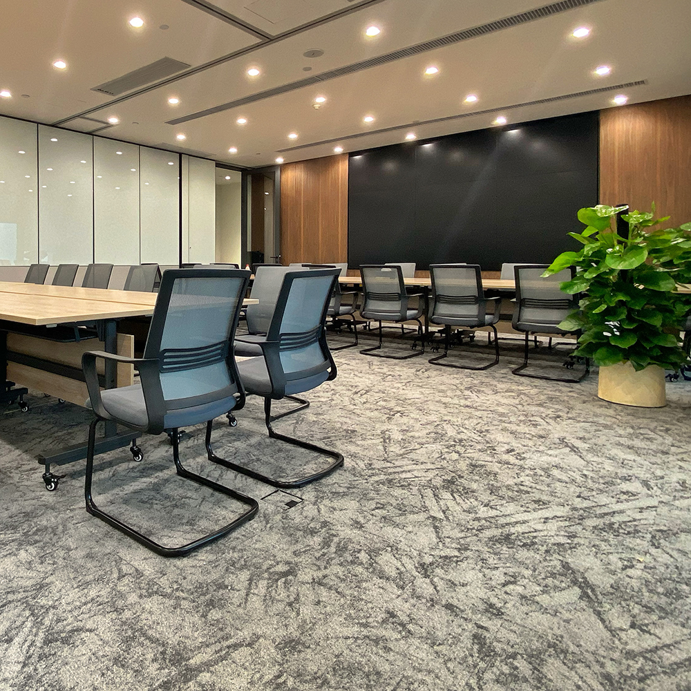 Beaulieu Canada Pro Carpet Thrive tthr