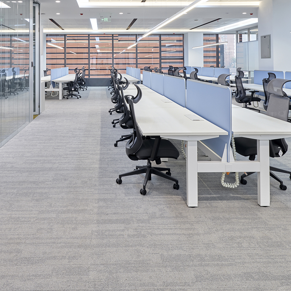 Beaulieu Canada Pro Carpet Zen Glow tzeg